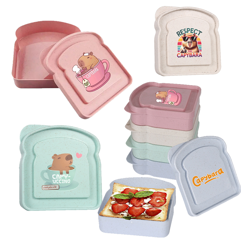 Food Storage Cupboard - Capybara Sandwich Food Storage Case Container
